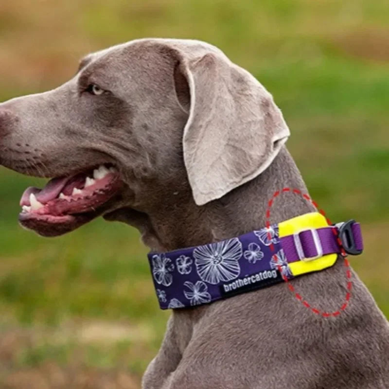 Adjustable Dog Collar Nylon Necklace, Personalized