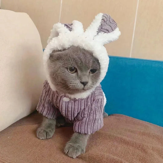 Warm Winter Coat for Kittens/Puppies Cute Bunny Appearance