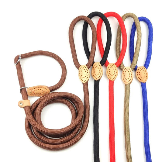 Adjustable Heavy Duty Braided Slip Rope Training Leashes for Small Medium  Dogs