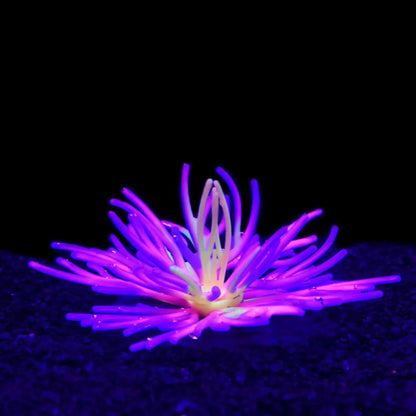 Aquarium Scenery Sea Water Fish Tank Decoration