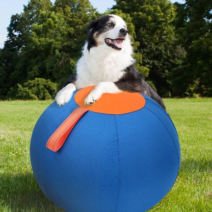 Dog Herding Toy Ball for Exercise, Play and Training Chew Toy,