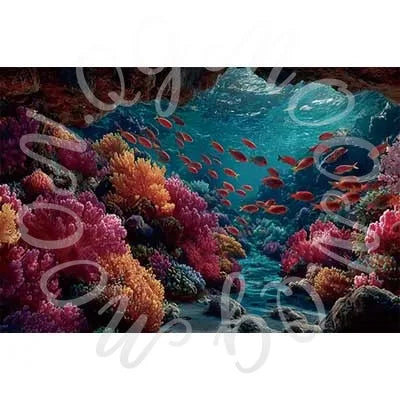 Aquarium Coral Underwater World Background Photography