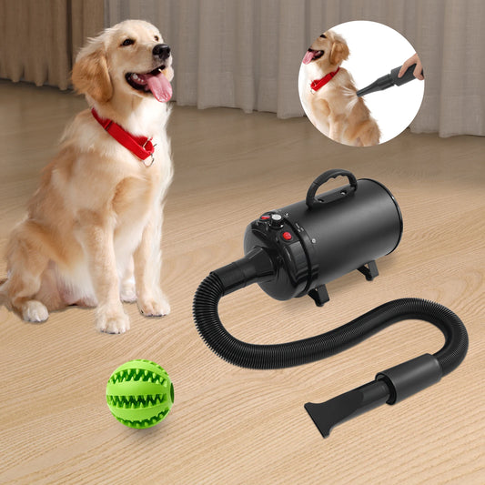 2200W Professional Pet Dryer,  Low Noise