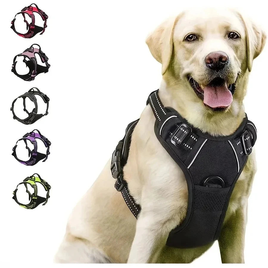 Harness Dog Collars, Big Vests, Leash