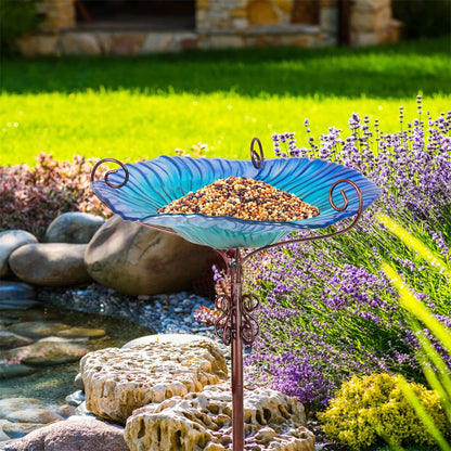 Large Glass Bird Bath Garden Feeding Bowl