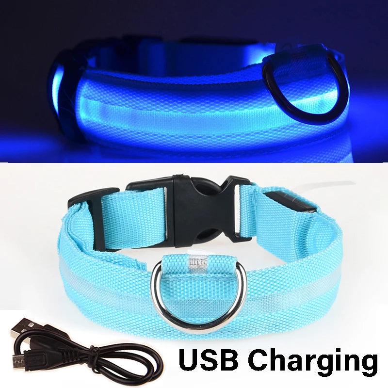 Nylon LED Night Safety Flashing Glow In The Dark Dog Leash