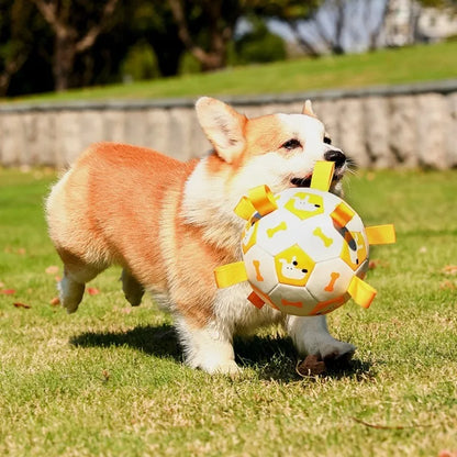 Dog chew toy that is durable and bite-resistant, inflatable football toy