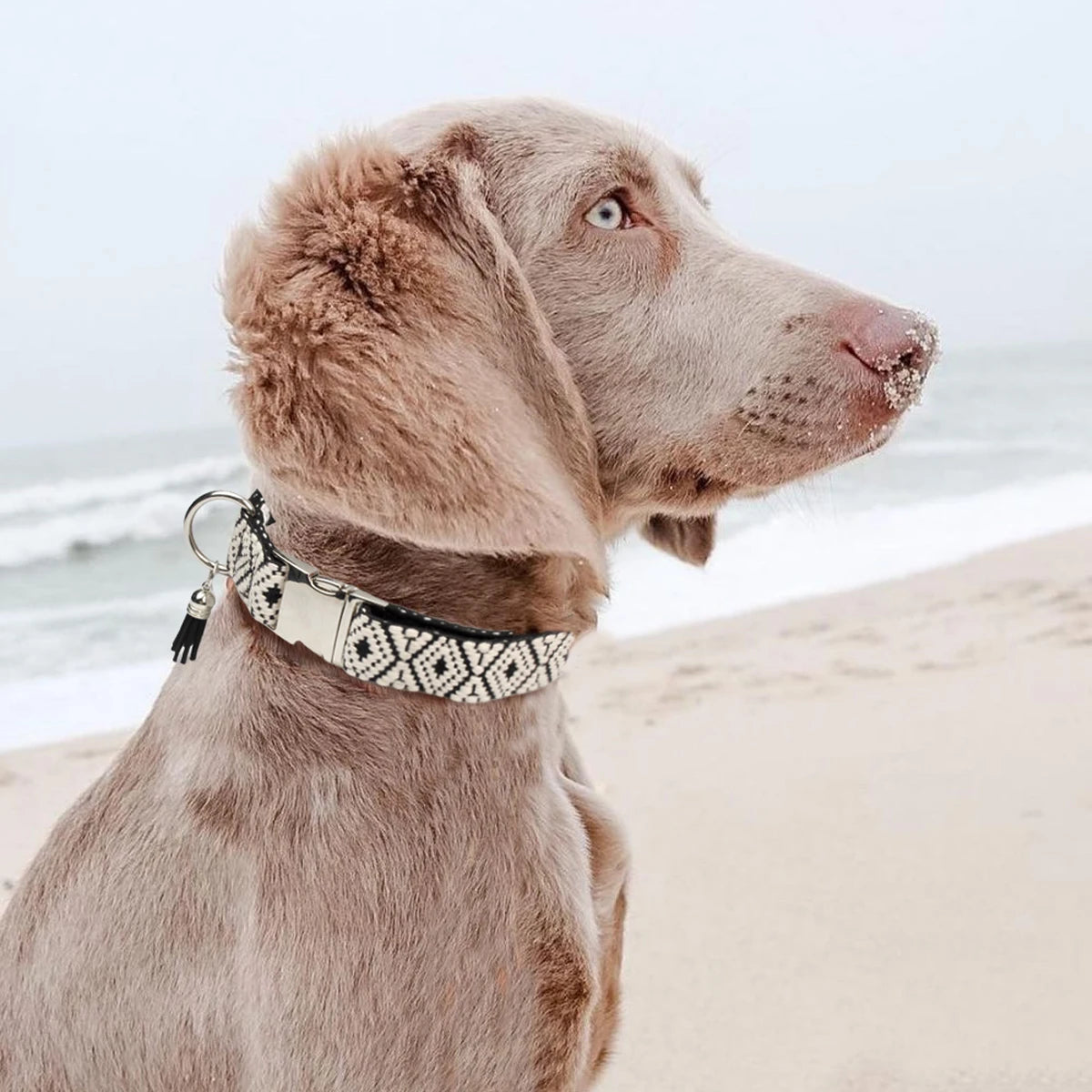 Bohemian Ethnic Style Pet Collars For Small Medium And Large Dogs