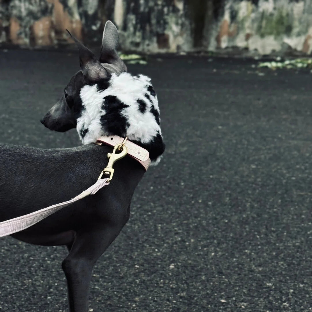 Warm Anti-Freeze Ear Muffs for Dogs, Black White Soft Skin-friendly Fleece Scarf