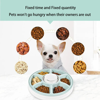 Automatic Pet Feeder, Round Timing Feeder, 6 Meals 6 Grids