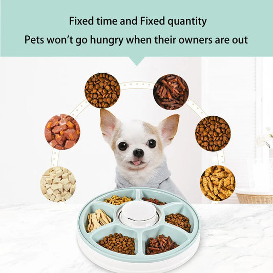 Automatic Pet Feeder, Round Timing Feeder, 6 Meals 6 Grids