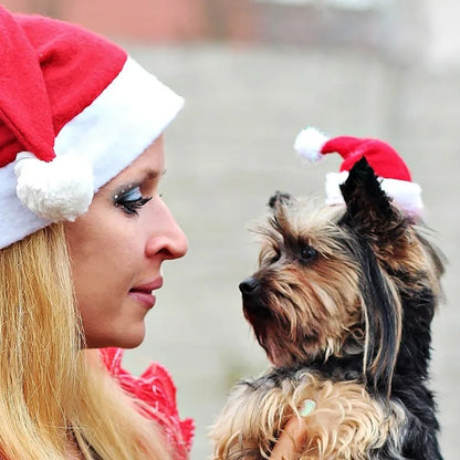 Dog Santa Hat