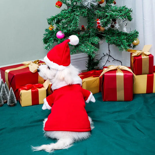 Pet Christmas suit, Christmas hat,