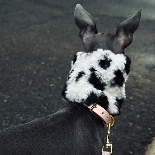 Warm Anti-Freeze Ear Muffs for Dogs, Black White Soft Skin-friendly Fleece Scarf