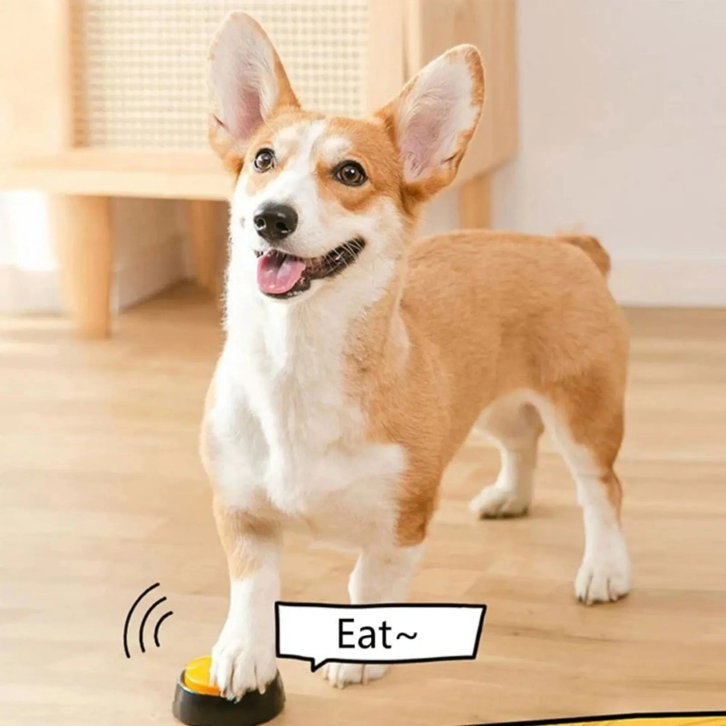 Pet Communication Buttons, Voice Recording Button, Training Buzzer, 30 Second Record Playback