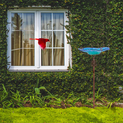 Large Glass Bird Bath Garden Feeding Bowl