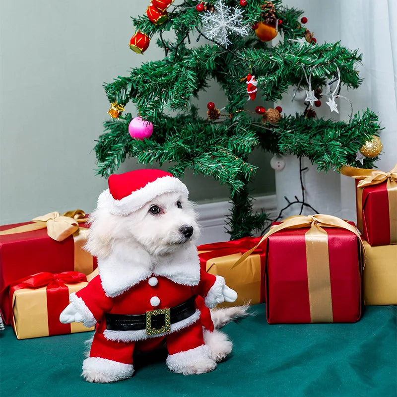 Pet Christmas suit, Christmas hat,