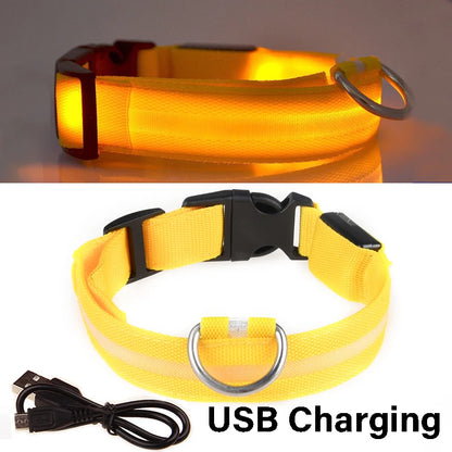 Nylon LED Night Safety Flashing Glow In The Dark Dog Leash