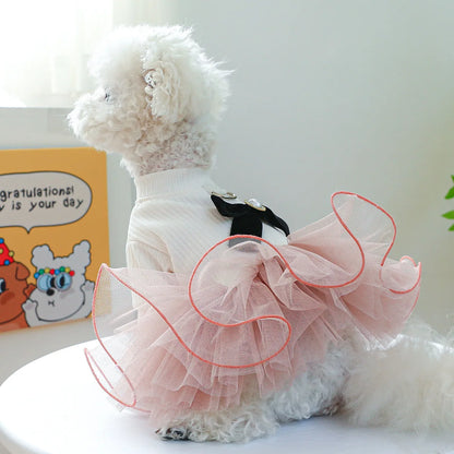 Spring/Summer Tutu Princess Dress Printed Lace Dog Skirt