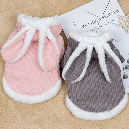 Warm Winter Coat for Kittens/Puppies Cute Bunny Appearance