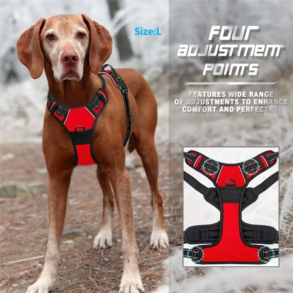 Harness Dog Collars, Big Vests, Leash