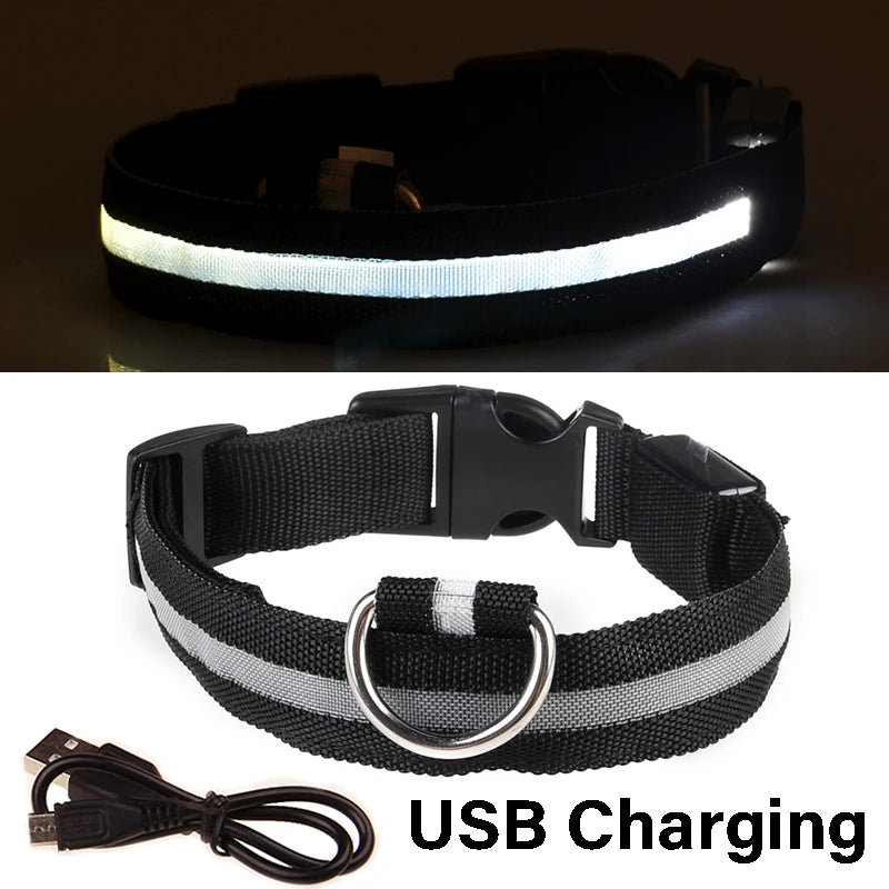 Nylon LED Night Safety Flashing Glow In The Dark Dog Leash