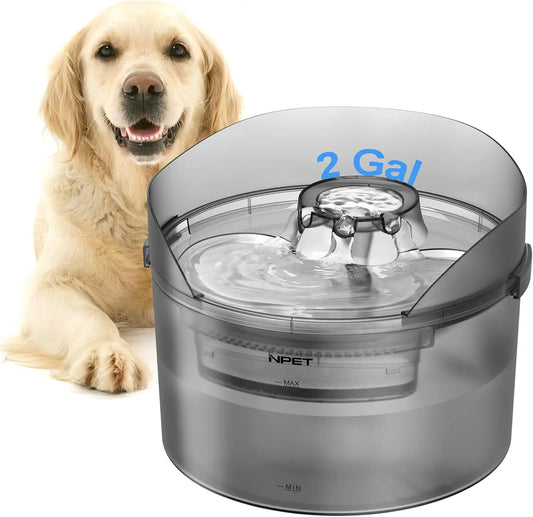 Automatic Water Fountain with Splatter Guard for Large Dogs