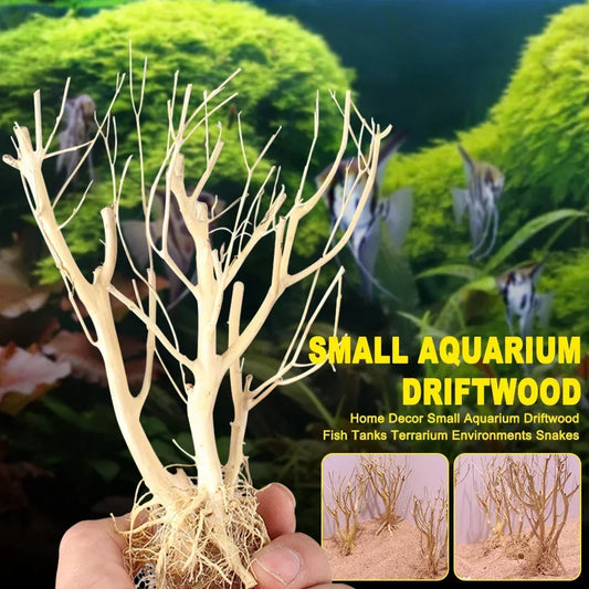 Natural Dry Trunk Driftwood, Aquarium Decoration
