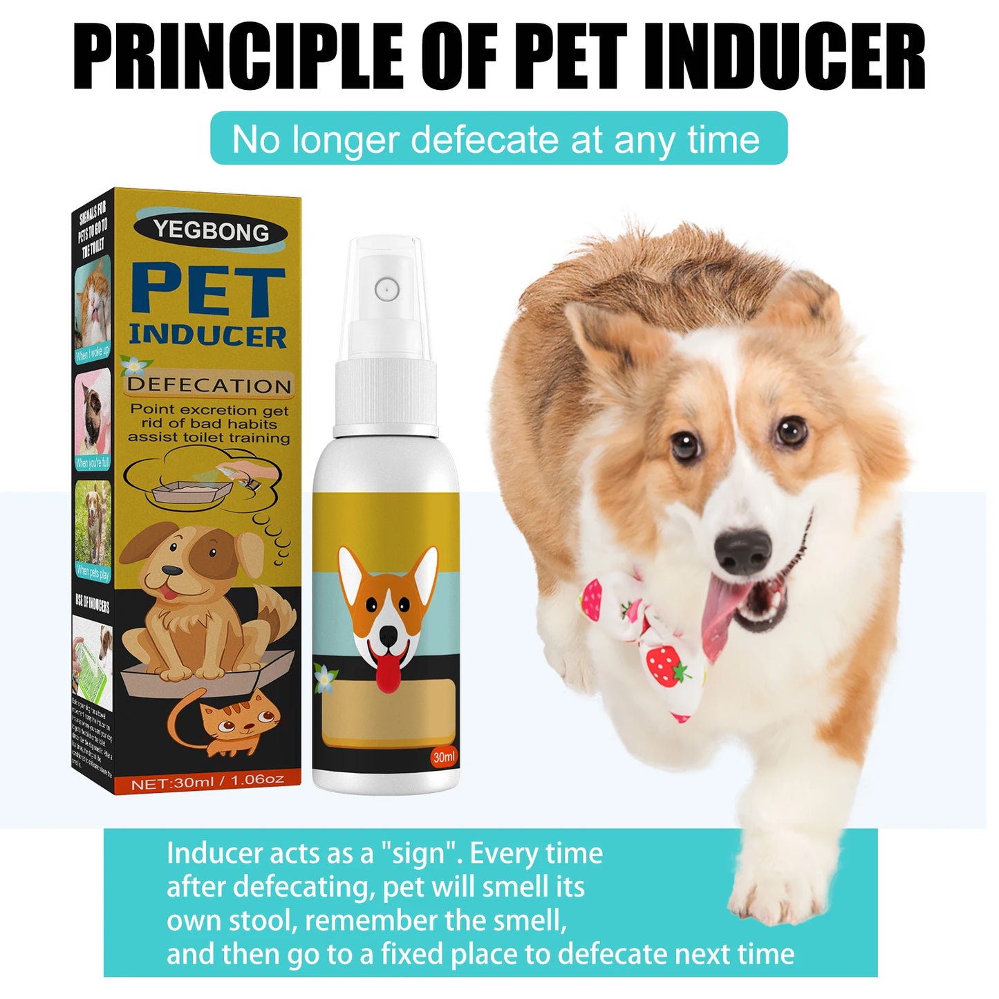 Potty Training Spray for Puppy