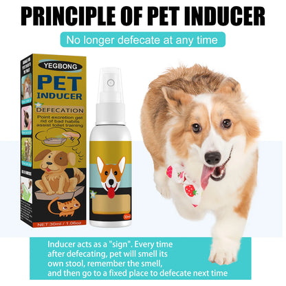 Potty Training Spray for Puppy