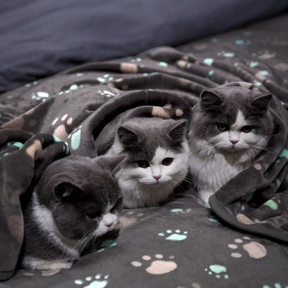 Black Soft Thick Pet Blanket, Double-sided Pattern