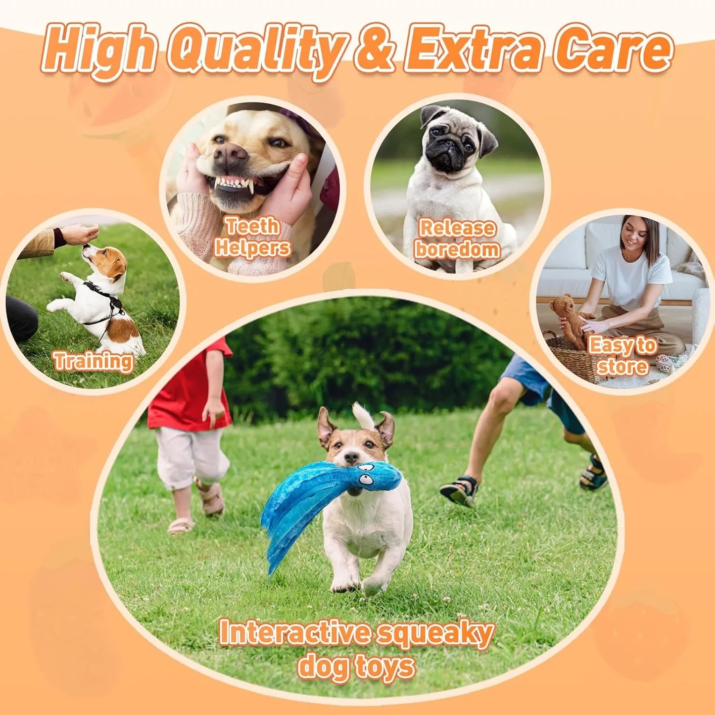 Random Squeaky Interactive Dog Toys