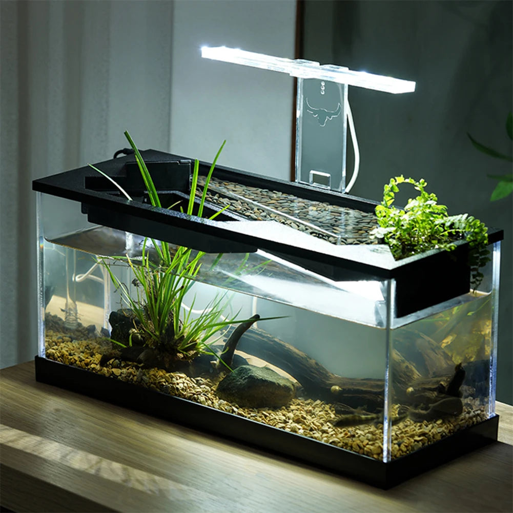 High Transparency Fish Tanks Desktop Decor with Pump + Light
