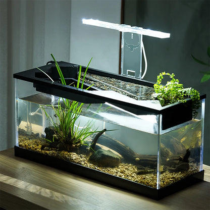 High Transparency Fish Tanks Desktop Decor with Pump + Light