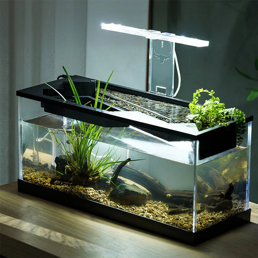 High Transparency Fish Tanks Desktop Decor with Pump + Light