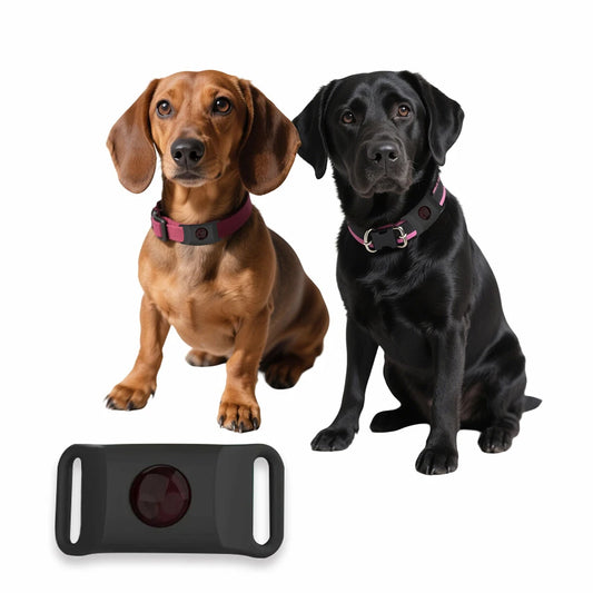 Natural Anti - Flea & Tick Essential Oil Pendant Safe Collar to Repel Pests