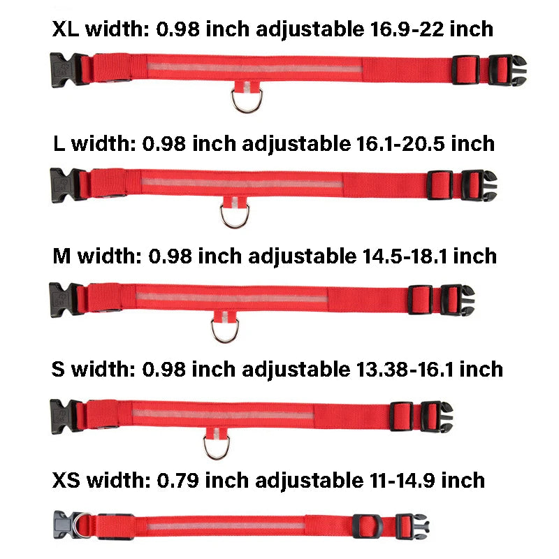 Nylon LED Night Safety Flashing Glow In The Dark Dog Leash