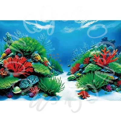 Aquarium Coral Underwater World Background Photography