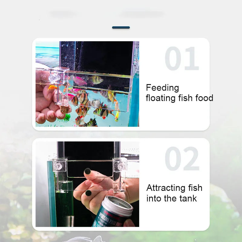 Creative Aquarium Tanks Negative Pressure Ecological Aquascape