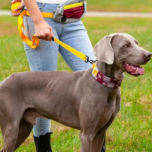 Adjustable Dog Collar Nylon Necklace, Personalized