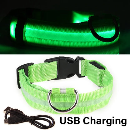 Nylon LED Night Safety Flashing Glow In The Dark Dog Leash