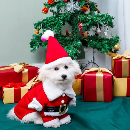 Pet Christmas suit, Christmas hat,