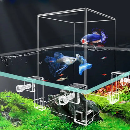 Creative Aquarium Tanks Negative Pressure Ecological Aquascape