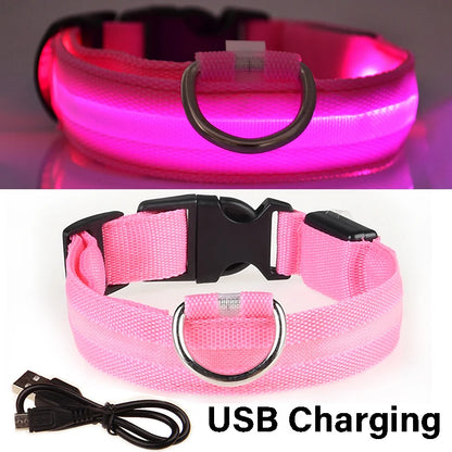 Nylon LED Night Safety Flashing Glow In The Dark Dog Leash