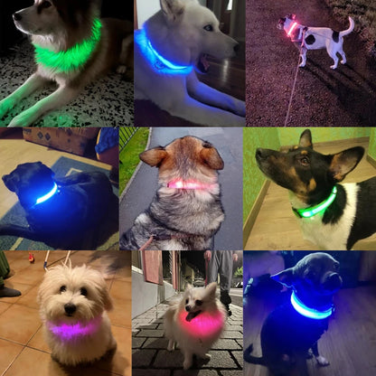 Nylon LED Night Safety Flashing Glow In The Dark Dog Leash