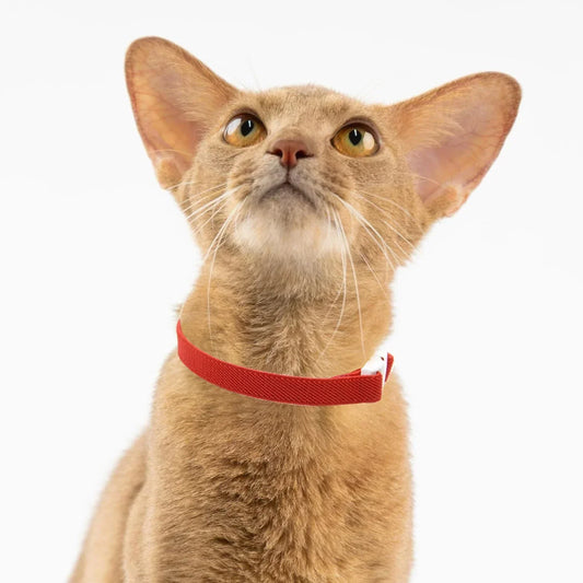 Safety Stretch Elastic Collars - Light Weight Small Large Cat,Puppy