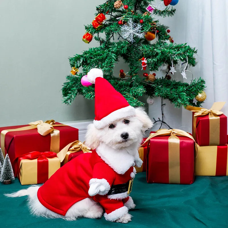 Pet Christmas suit, Christmas hat,
