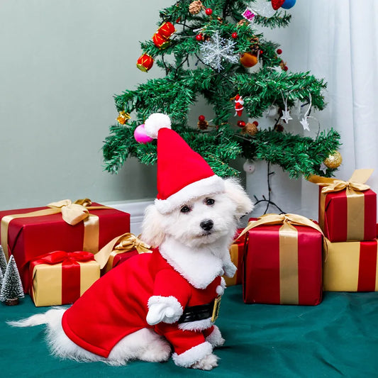 Pet Christmas suit, Christmas hat,