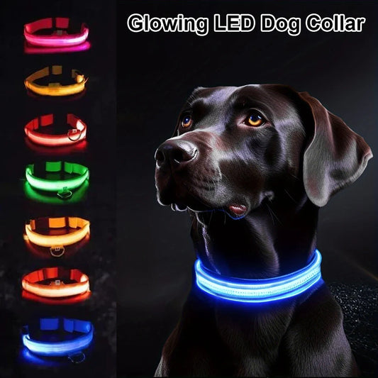 Nylon LED Night Safety Flashing Glow In The Dark Dog Leash