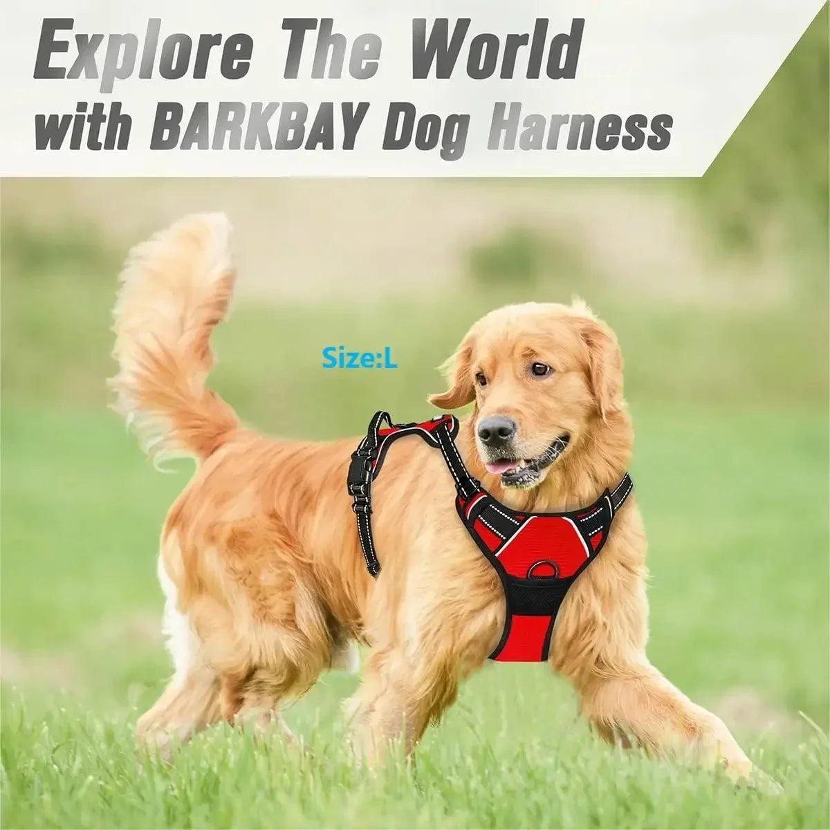 Harness Dog Collars, Big Vests, Leash